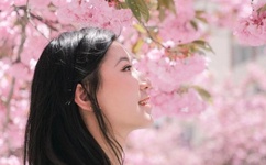 动态图片gif图片色子